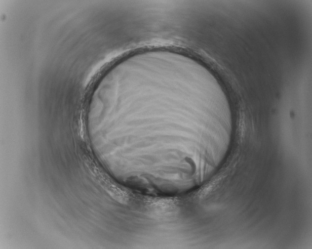 X0000051241262200507152114