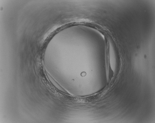 X0000051241263200507152114