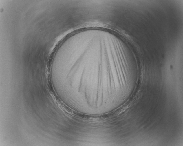 X0000051241264200507152114