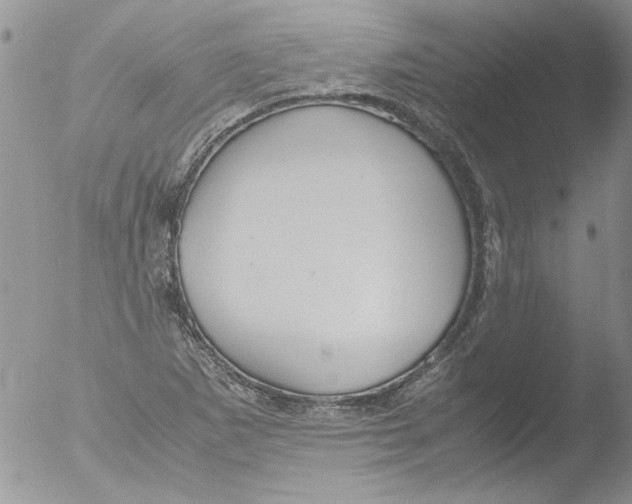 X0000051241265200507152114