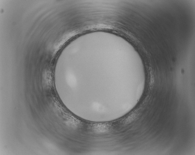 X0000051241266200507152114