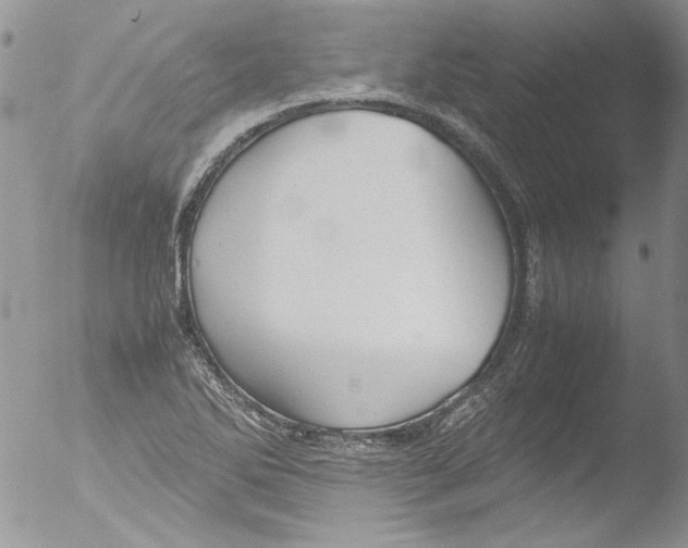 X0000051241270200507152114