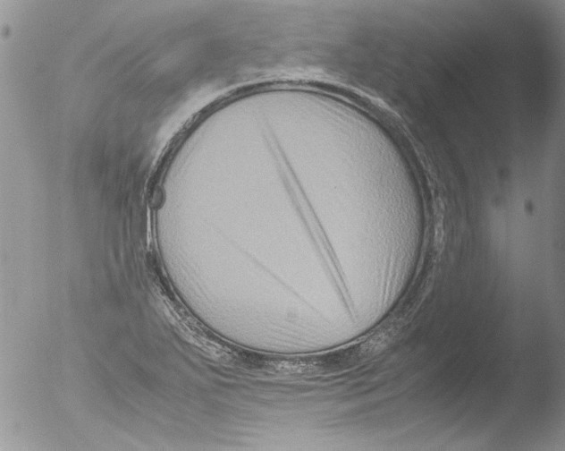 X0000051241271200507152114