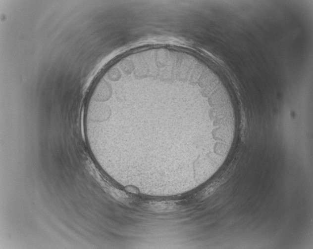 X0000051241272200507152114