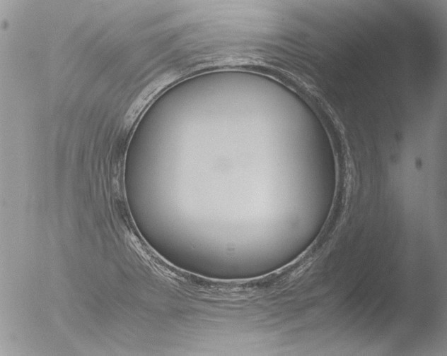 X0000051241273200507152114