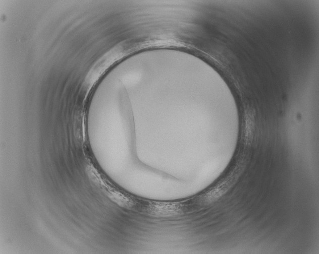 X0000051241274200507152114