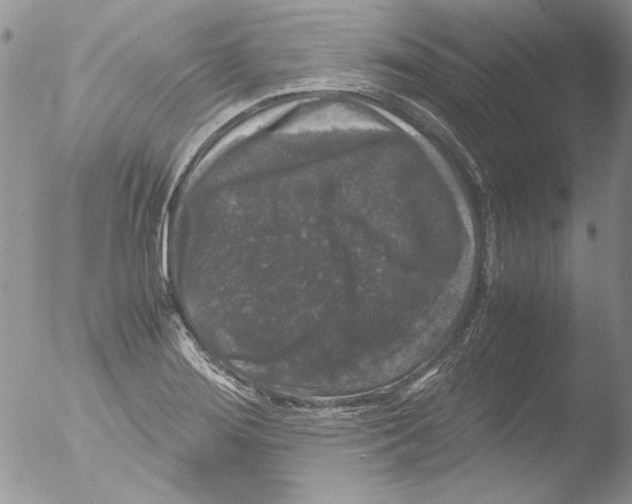 X0000051241276200507152114