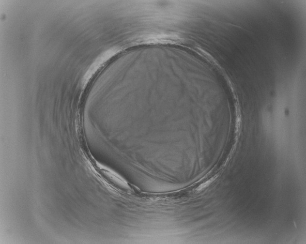 X0000051241277200507152114