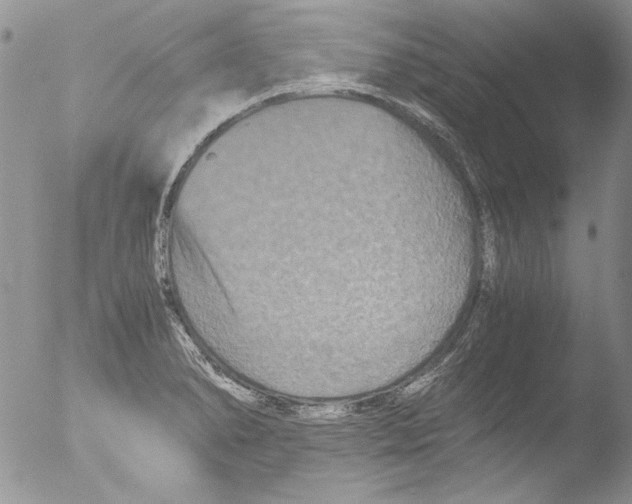 X0000051241278200507152114