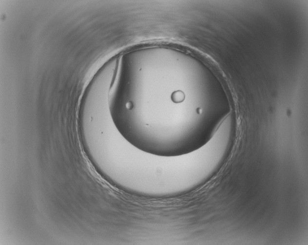 X0000051241279200507152114