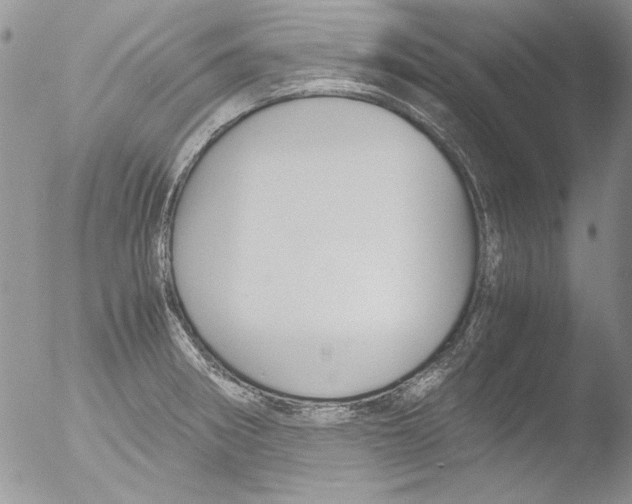 X0000051241282200507152114