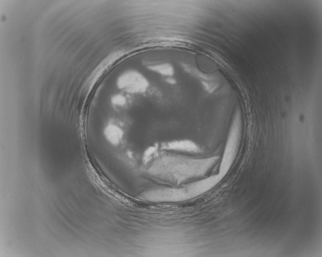 X0000051241283200507152114