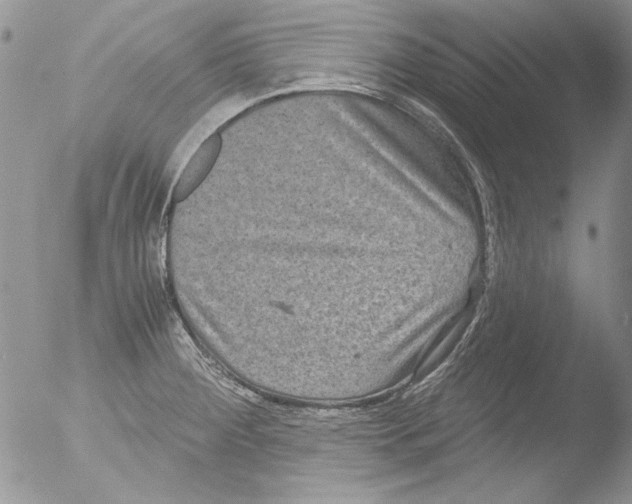 X0000051241284200507152114