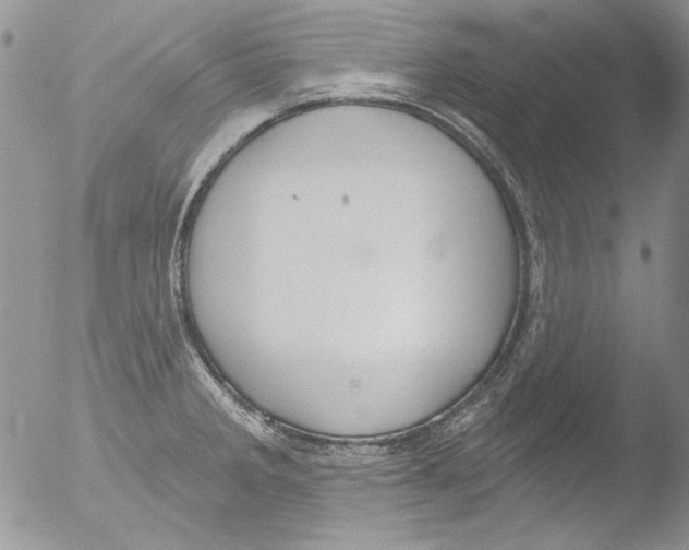 X0000051241285200507152114