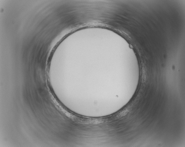 X0000051241286200507152114