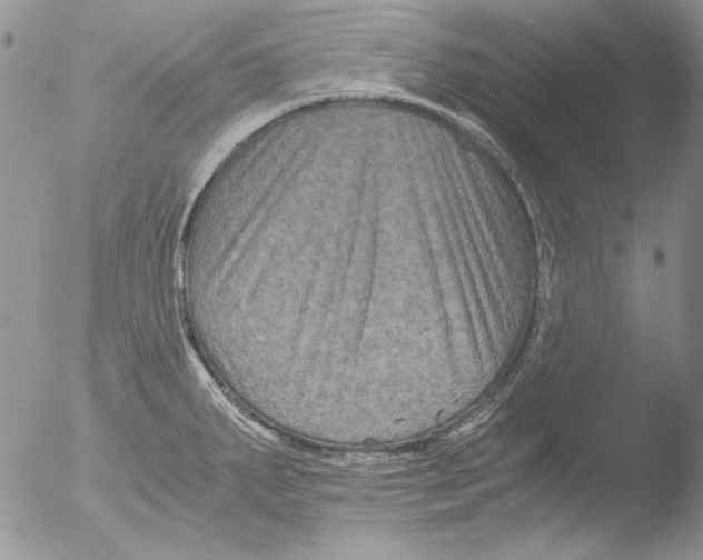 X0000051241287200507152114