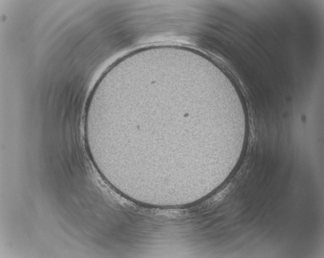 X0000051241288200507152114