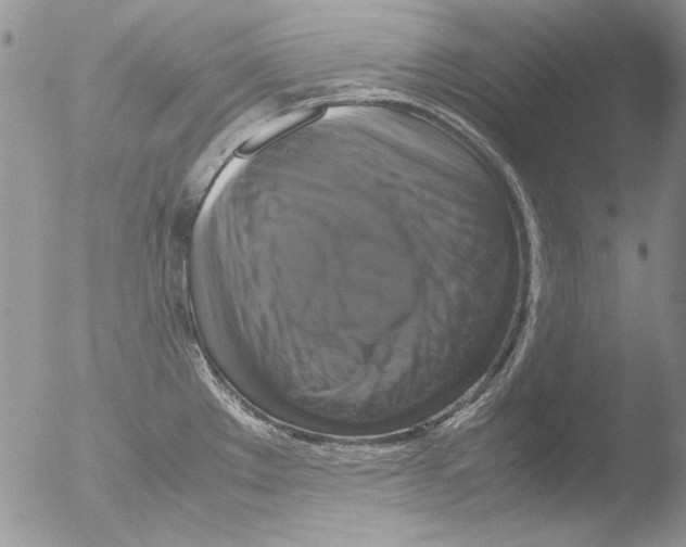 X0000051241289200507152114