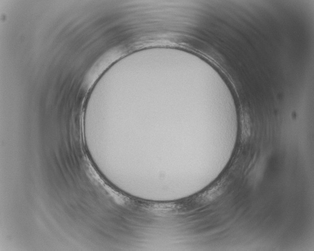 X0000051241290200507152114