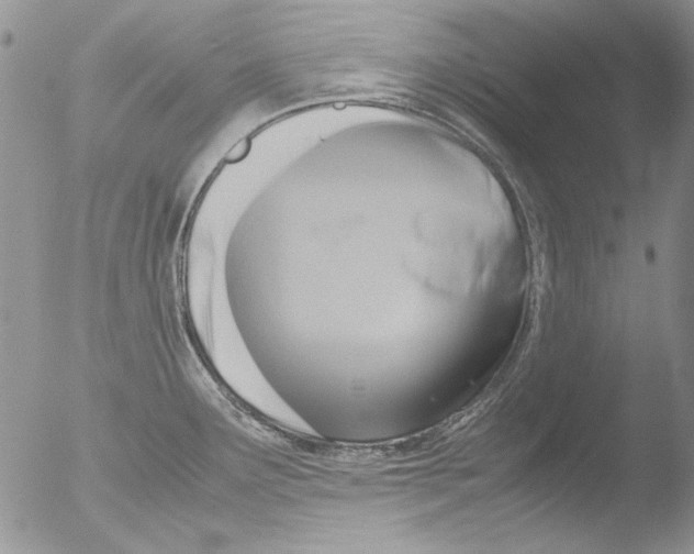 X0000051241291200507152114