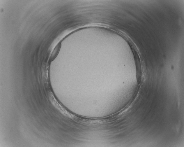 X0000051241292200507152114