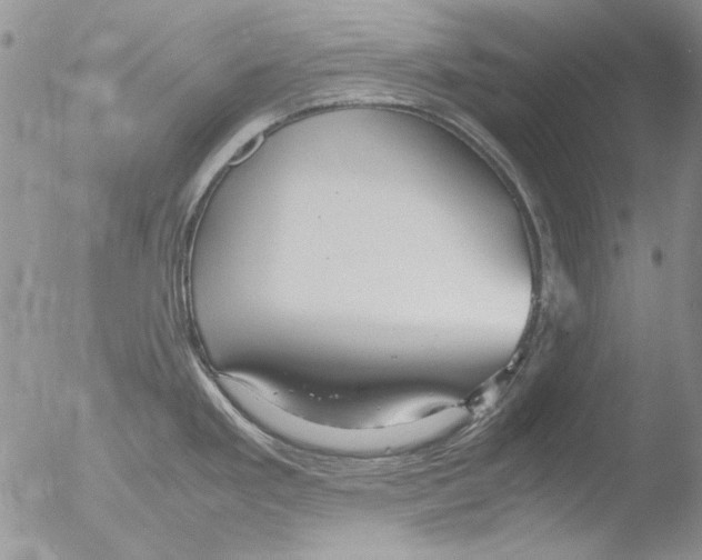 X0000051241293200507152113