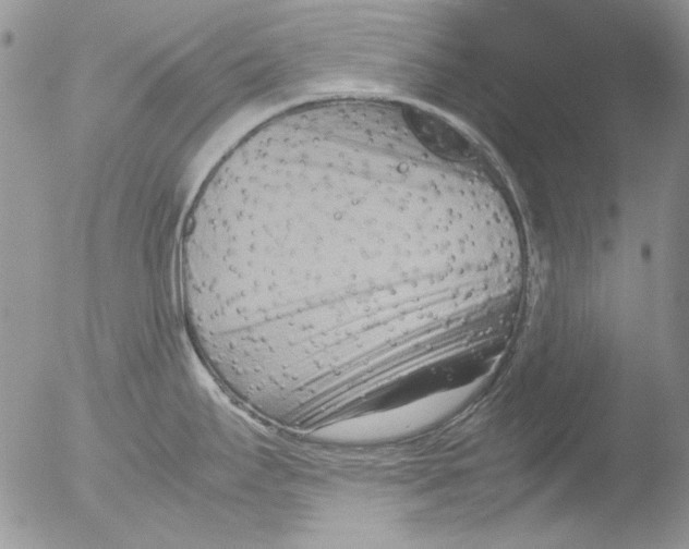 X0000051241295200507152113