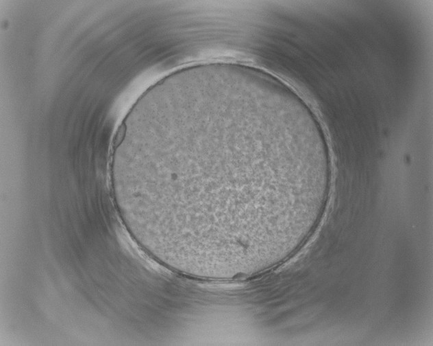 X0000051241296200507152113