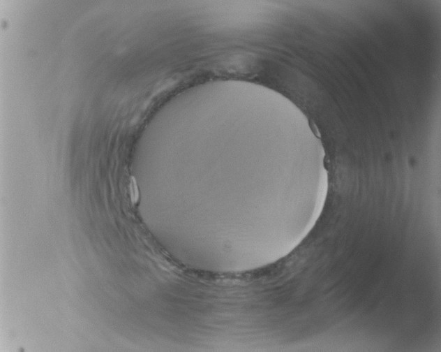 X0000051241297200507152113