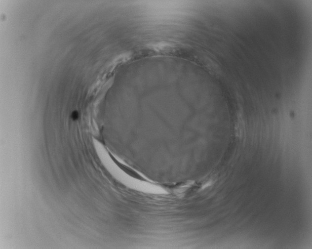 X0000051241298200507152113