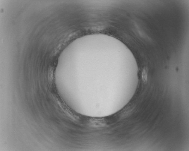 X0000051241299200507152113