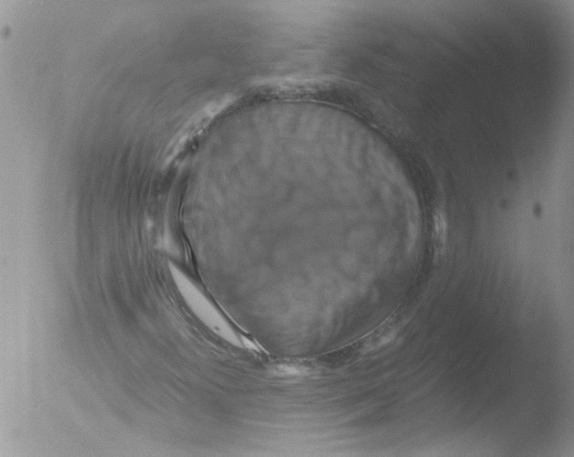 X0000051241300200507152113