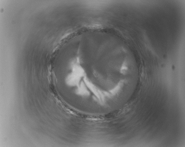 X0000051241301200507152113