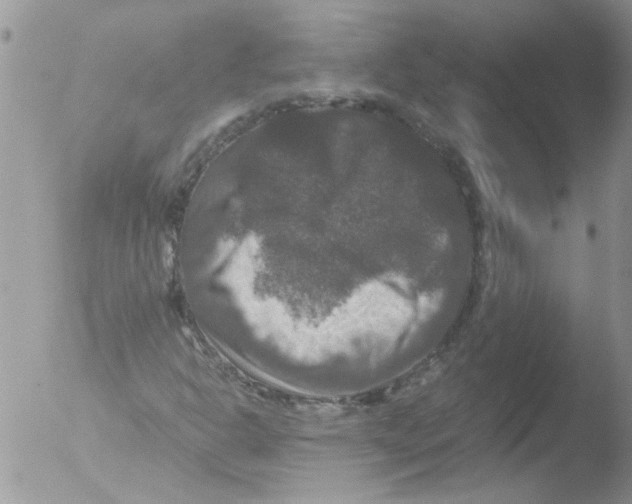 X0000051241302200507152113