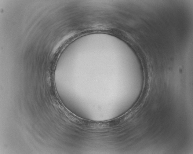 X0000051241307200507152113