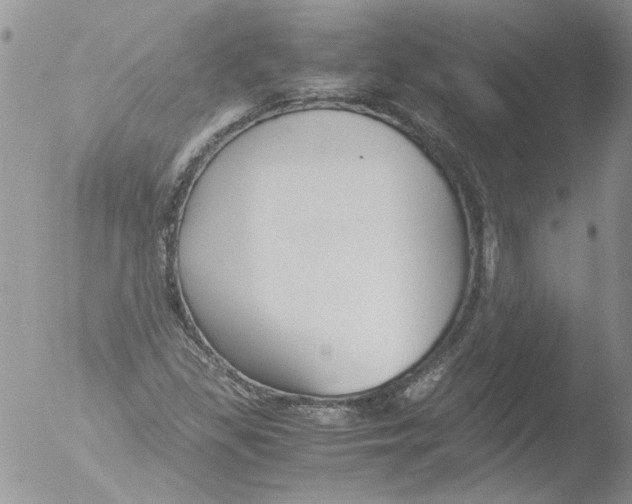 X0000051241309200507152113