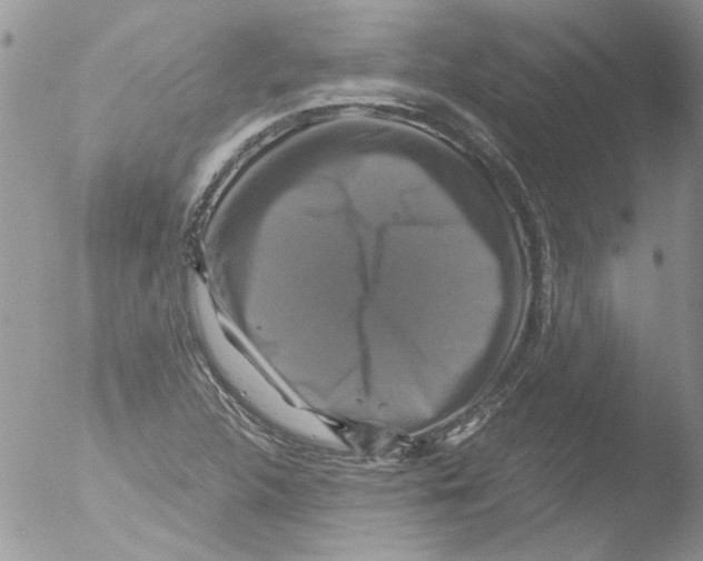 X0000051241312200507152113