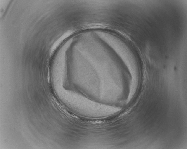 X0000051241317200507152113