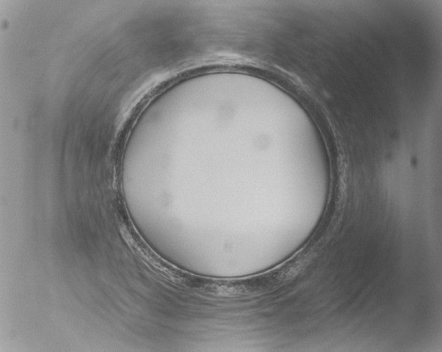 X0000051241318200507152113