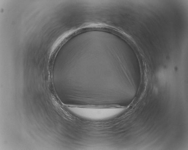 X0000051241319200507152113