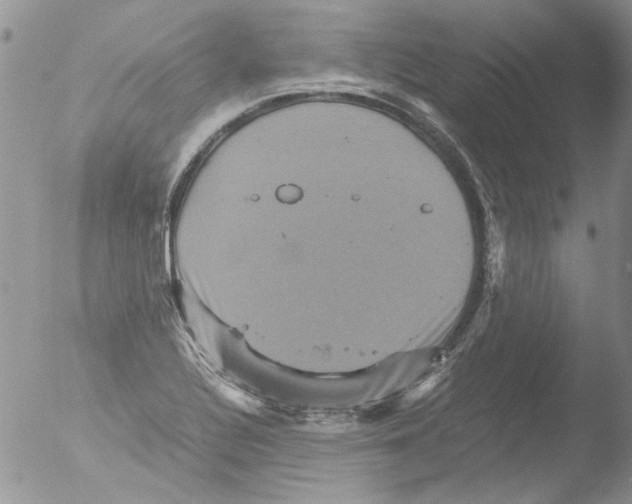 X0000051241320200507152113