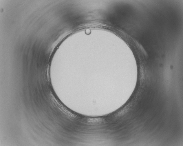 X0000051241322200507152113