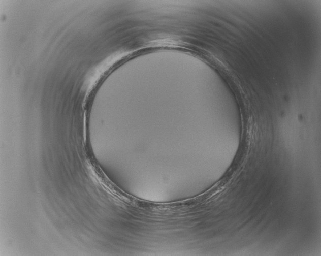 X0000051241323200507152113