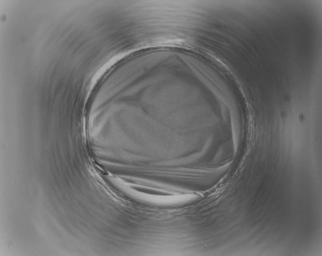 X0000051241324200507152113