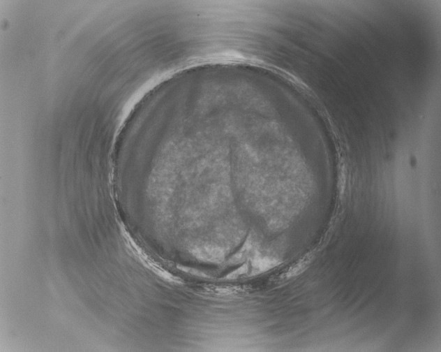 X0000051241326200507152113