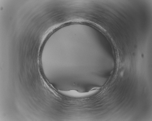 X0000051241327200507152113