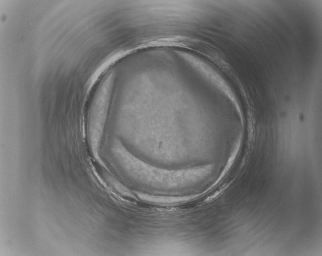 X0000051241328200507152113