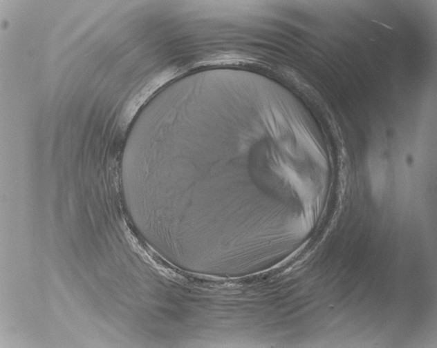 X0000051241329200507152113