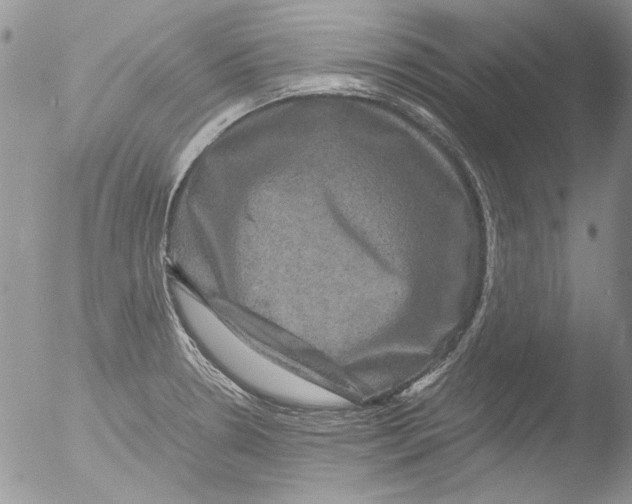 X0000051241330200507152113