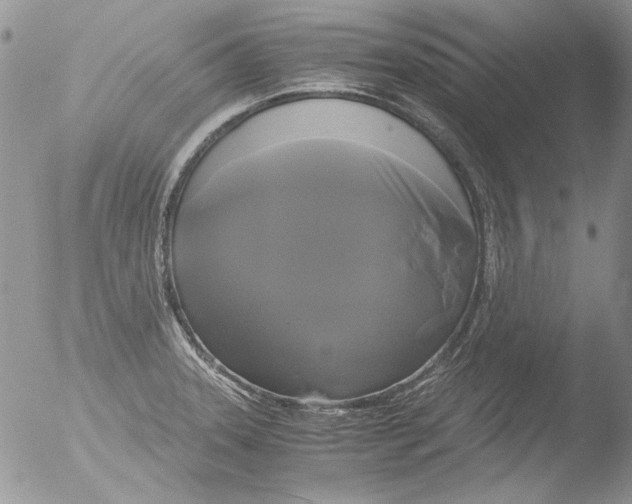 X0000051241331200507152113